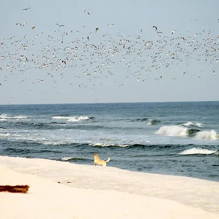 Διαμέρισμα Meeresrauschen Meerblick 2a *