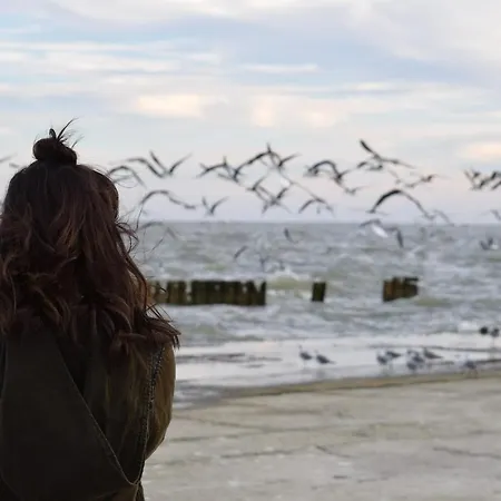 Meeresrauschen Meerblick 2a * Pelzerhaken