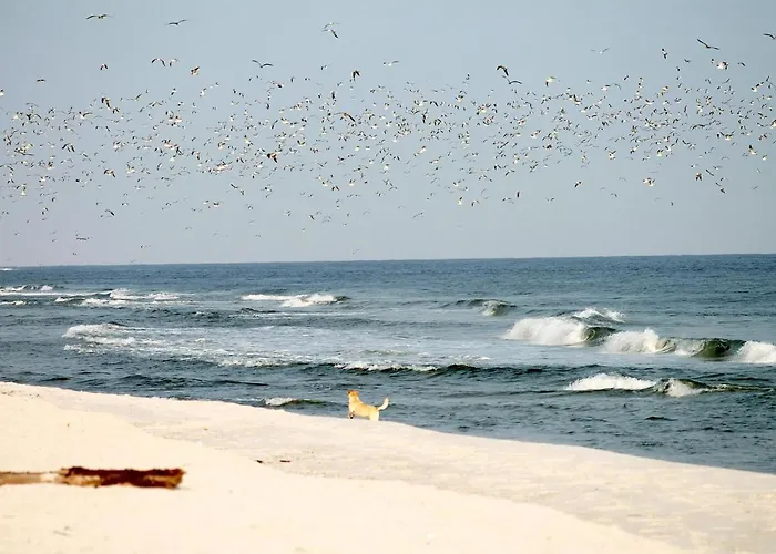 Apartamento Meeresrauschen Meerblick 2a *