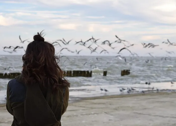 Meeresrauschen Meerblick 2a * Pelzerhaken